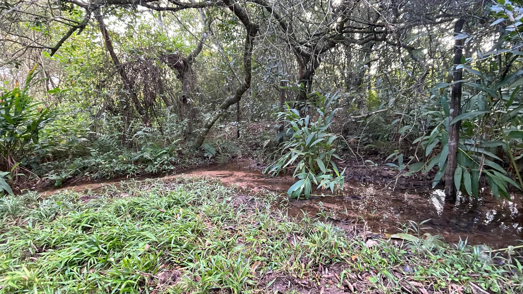 2 hectáreas con arroyito y vistas en Eusebio Ayala A 3 km de Ruta 2 – 2