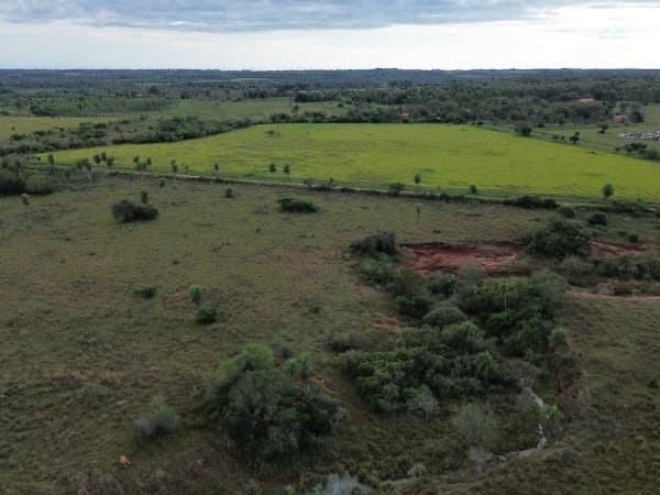 VENDO 19 HECTÁREAS EN SAN IGNACIO – MISIONES – 3