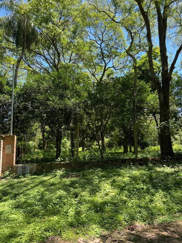 Terreno en Venta San Bernardino, Barrio Cristóbal Colón – 3