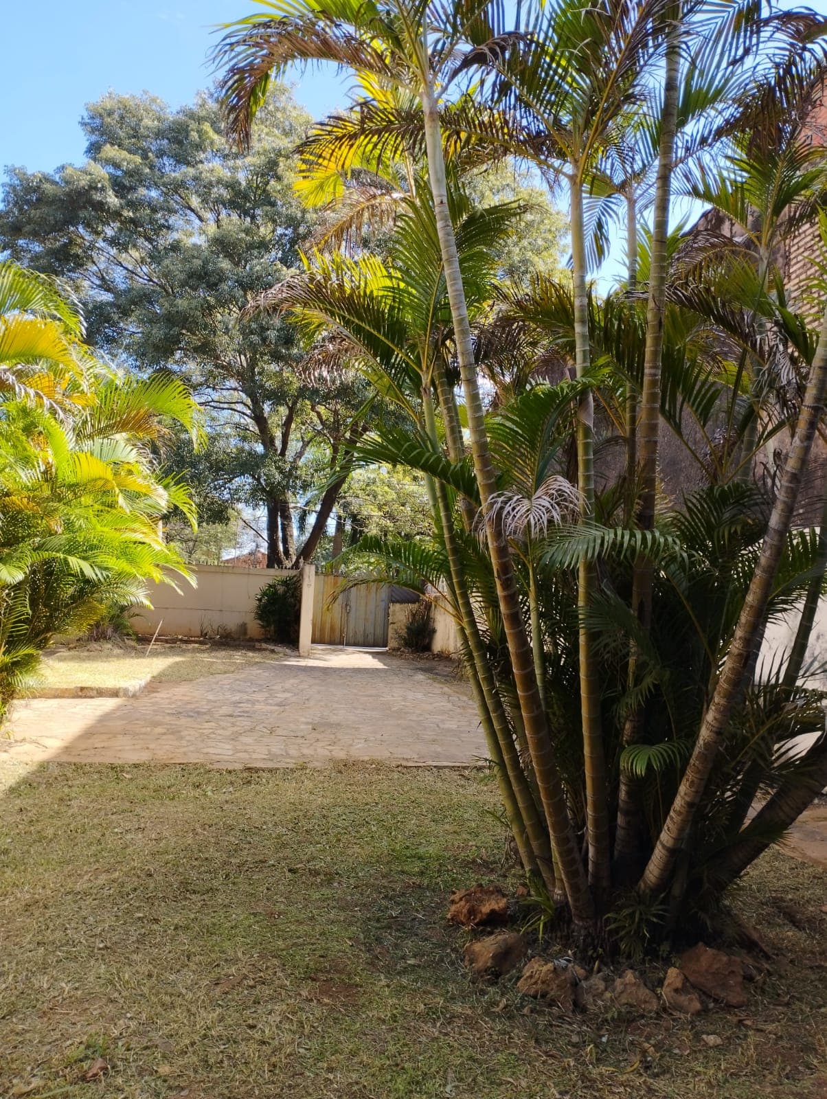 Vendo Sobre La Avda Gral Santos – 2