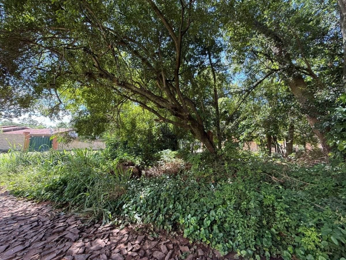 En venta terreno de 600 m2 en esquina en Aregúa – 2