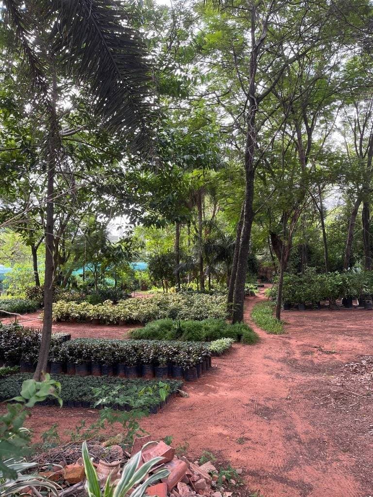 EN VENTA – Terreno De 5.510 m² Sobre Av. Von Poleski, Villa Elisa