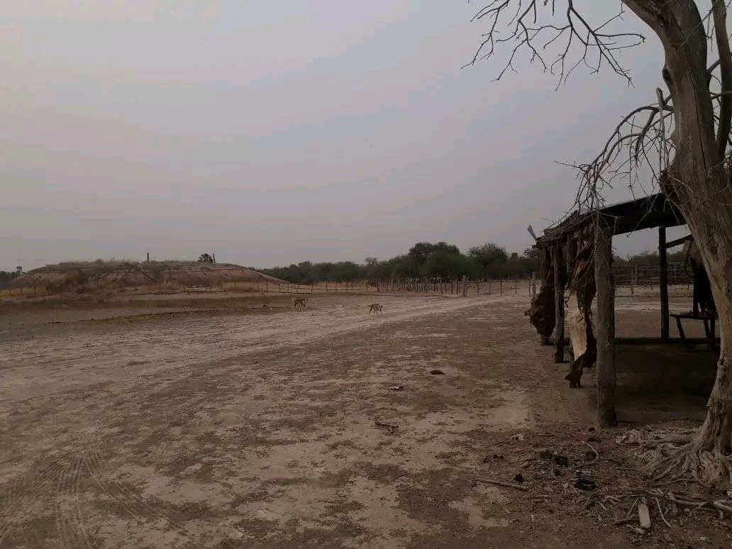 VENDO ESTANCIA EN ALTO PARAGUAY-FORTIN FLORIDA – 2