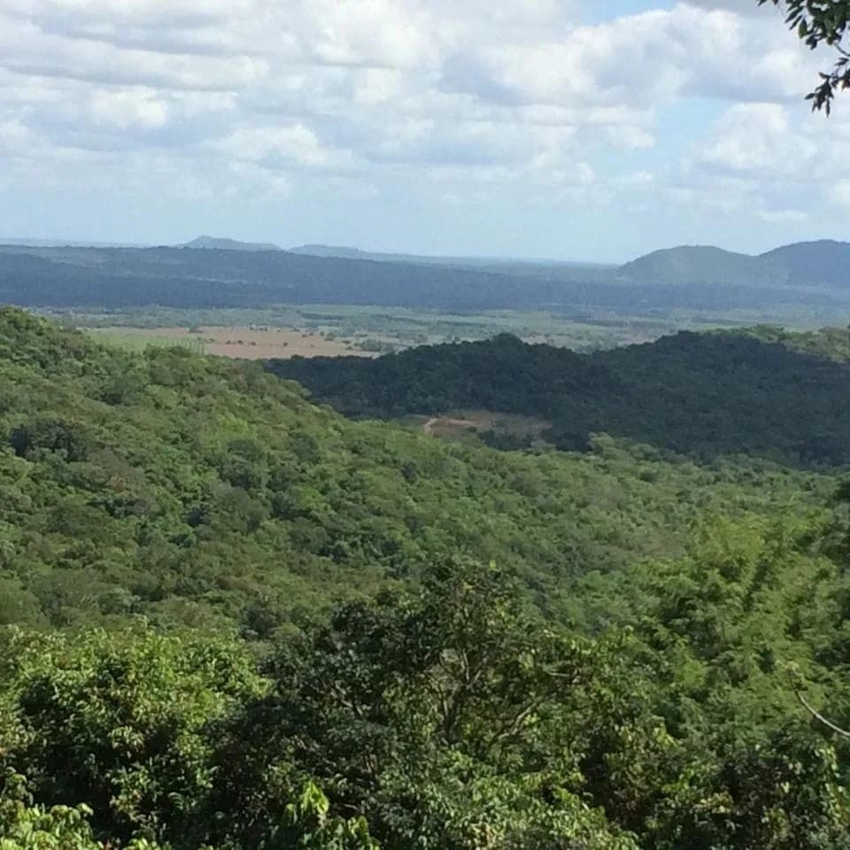 Vendo Propiedad de 10 hectáreas en Paraguari zona Mbatovi – 2