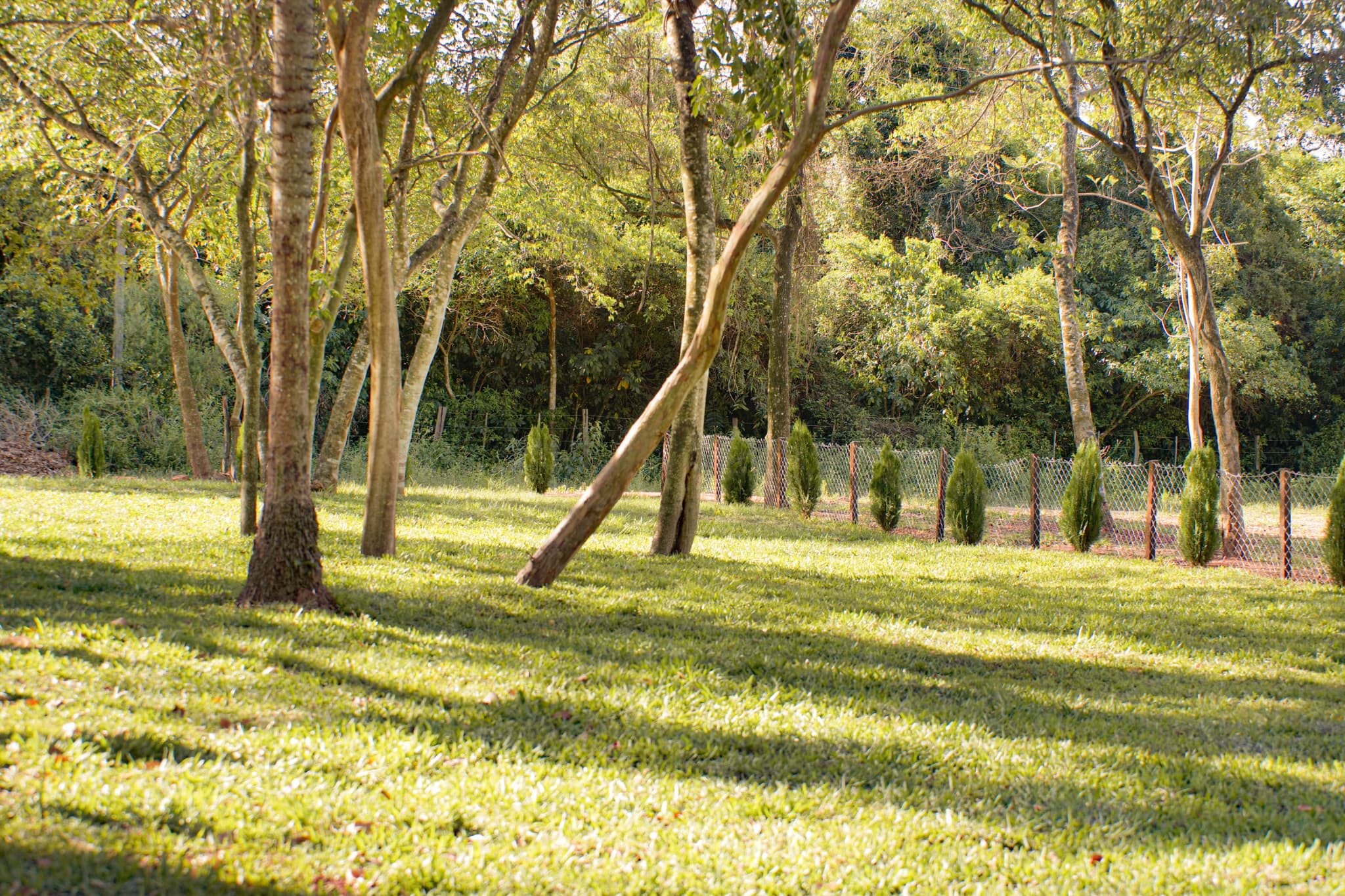 TU LUGAR DE DESCANSO RODEADO DE NATURALEZA – 3