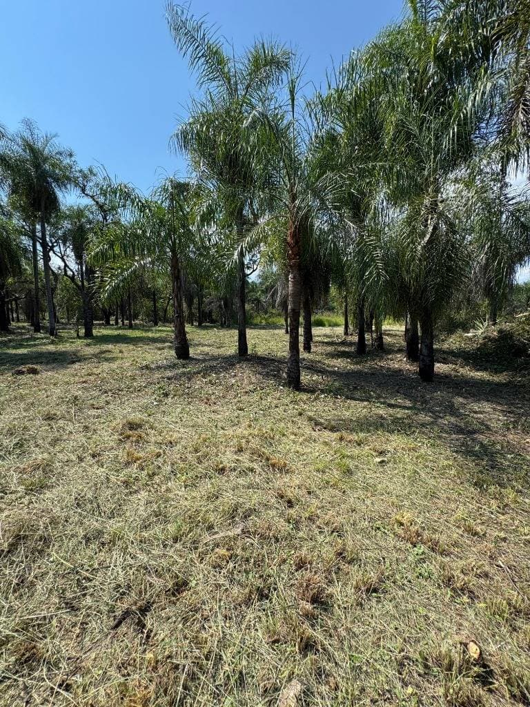 Vendo terreno en San Bernardino zona Ciervo Cua – 3