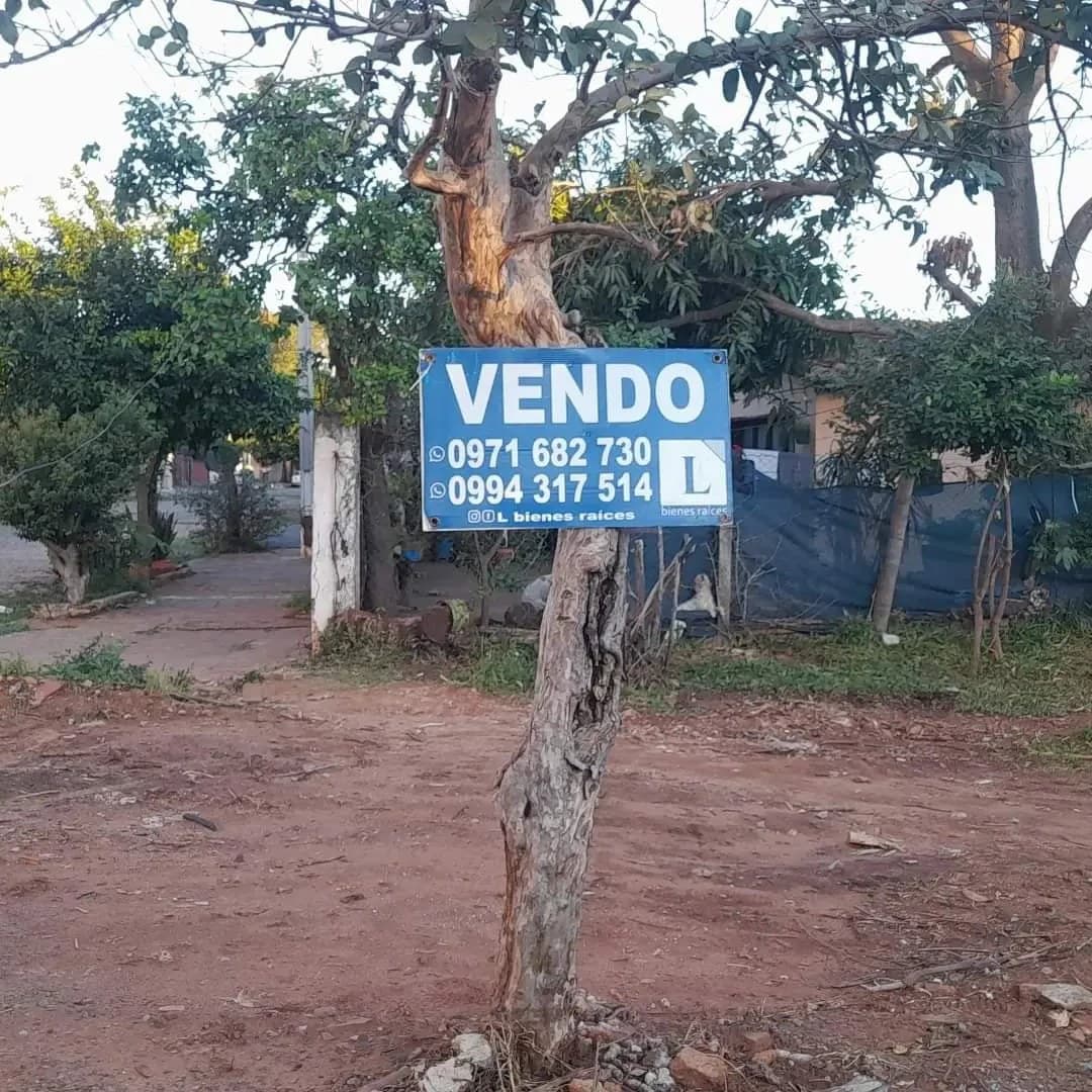 Vendo Terreno En San Miguel San Lorenzo – 2