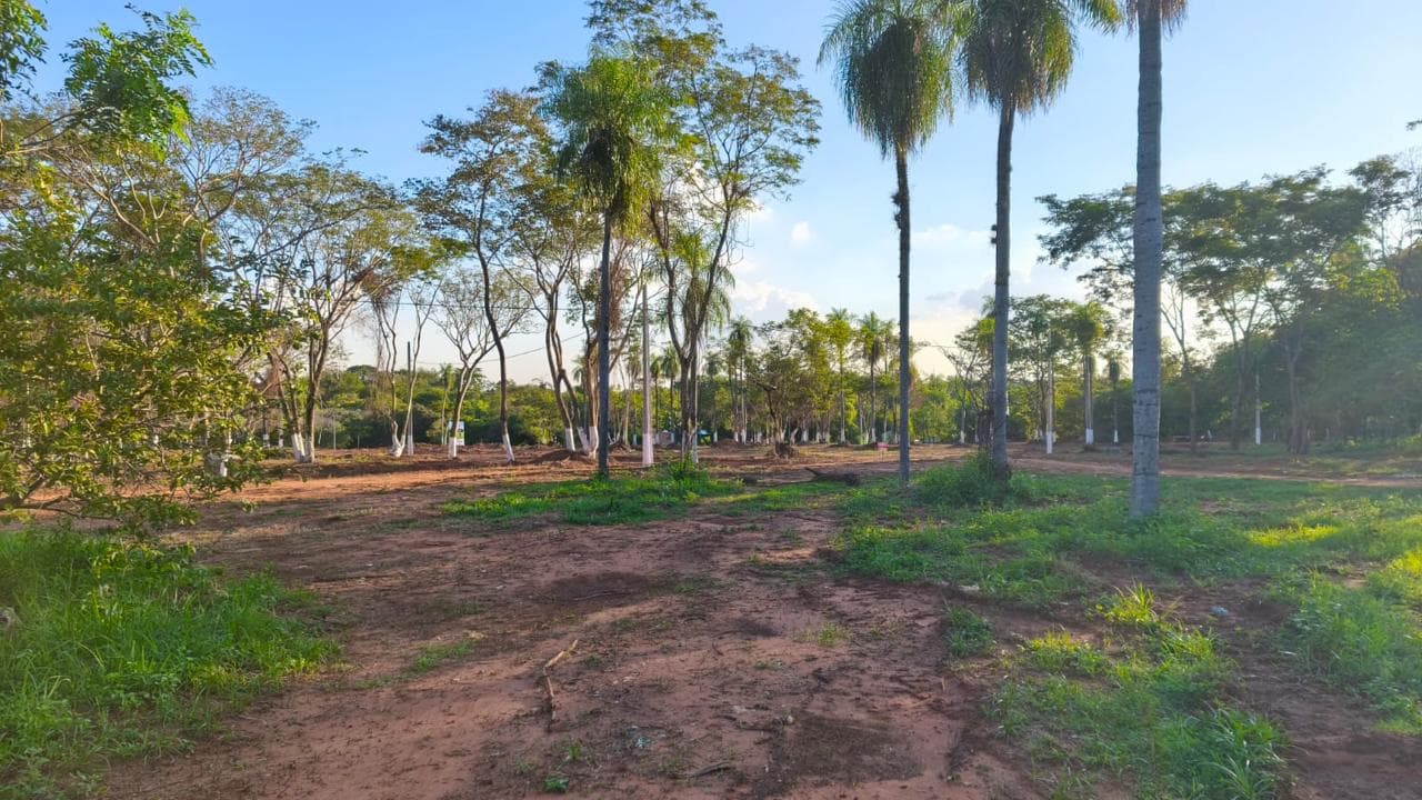 Vendo Lotes En La Ciudad De Luque Itapuami – 2