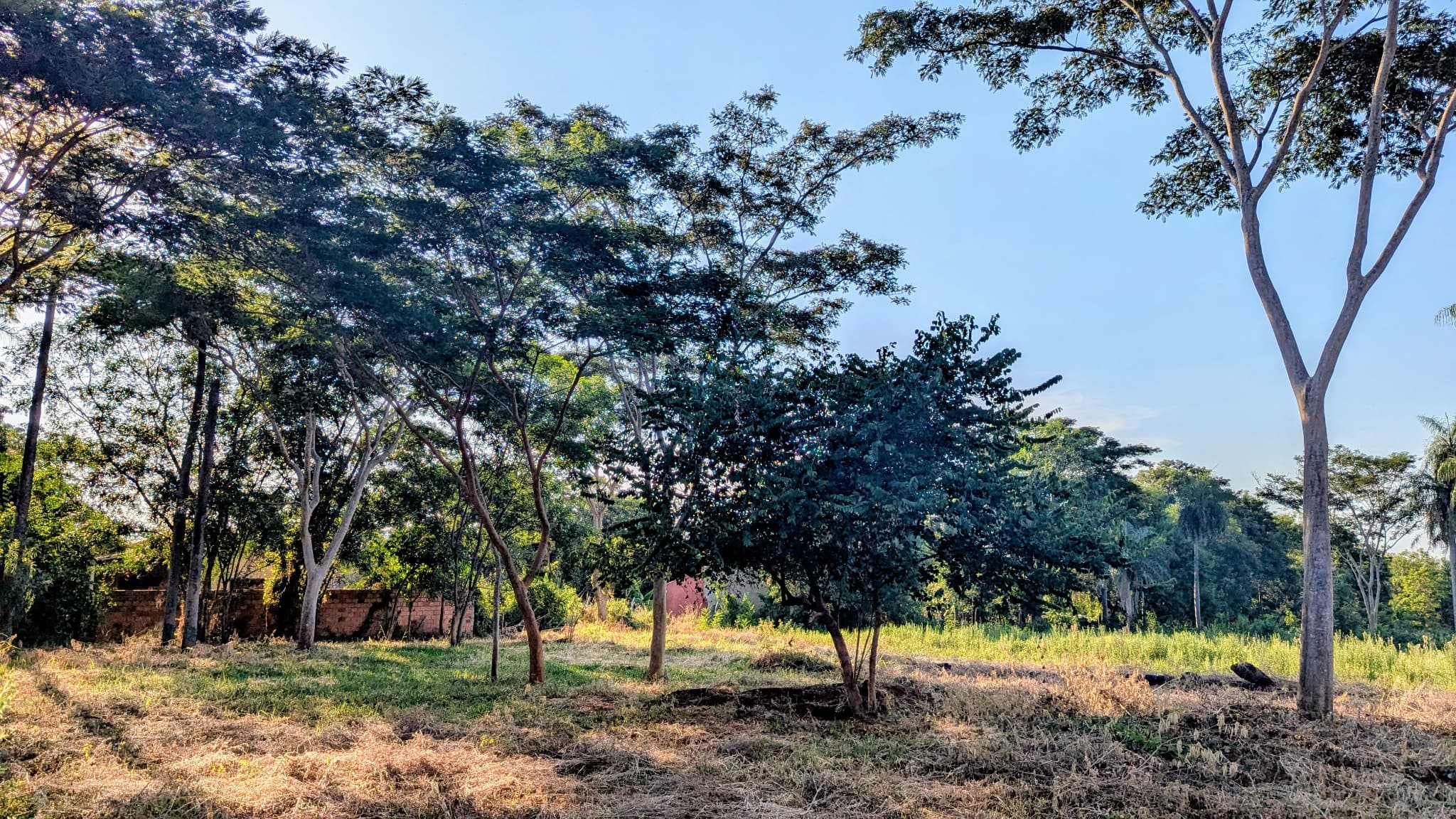 VENDO TERRENO EN ESQUINA EN LIMPIO - B° ISLA ARANDA – 3