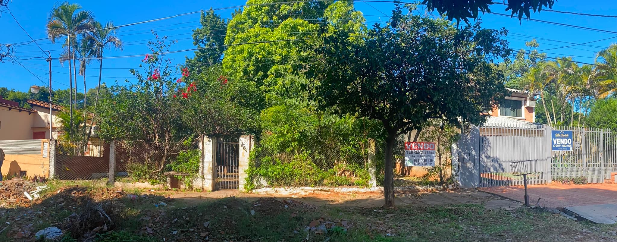 Asunción: amplio terreno arbolado de 15,27 m. x 37,50m. – 2