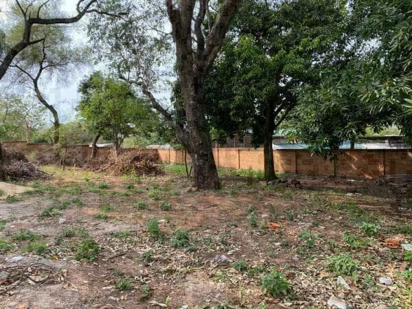 VENDO TERRENO AMURALLADO ZONA YACHT – 3