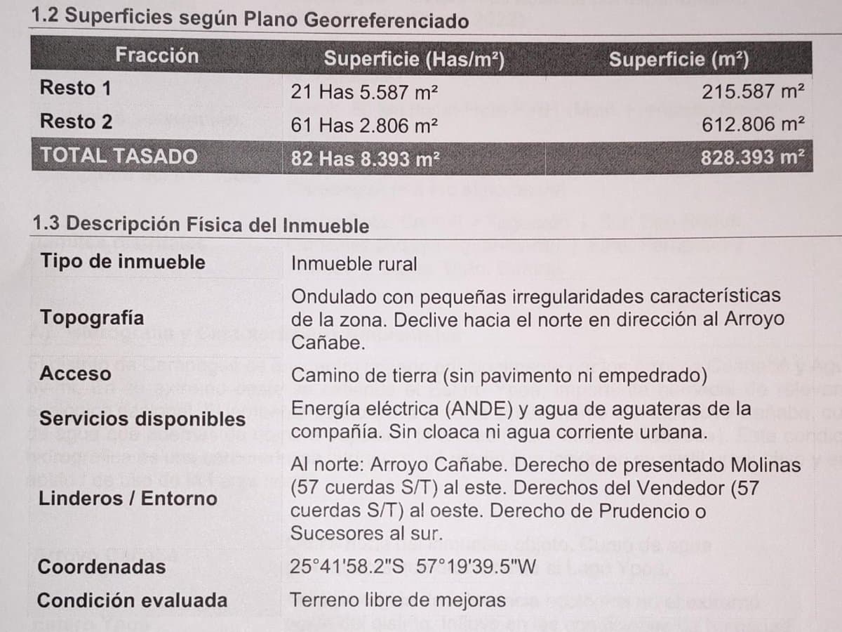 VENDO 82 HECTAREAS EN CARAPEGUA – 2