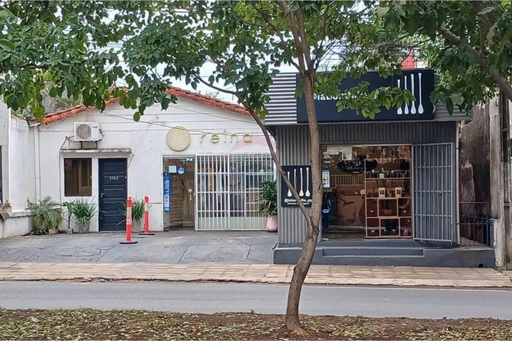 TERRENO SOBRE AV. SAN MARTIN – 3