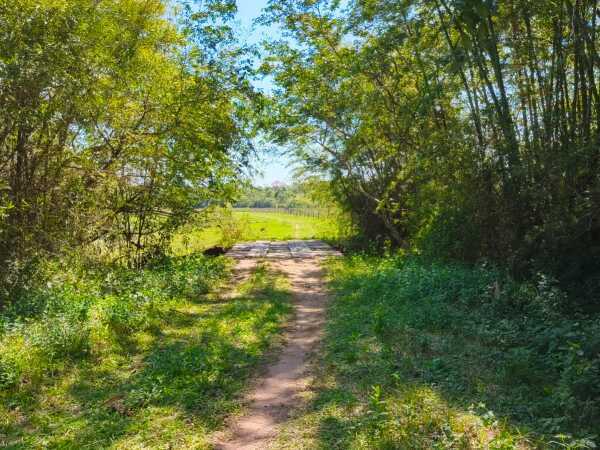 70 HECTAREAS EN PARAGUARI YBYTUMI IDEAL PARA CANTERA – 2