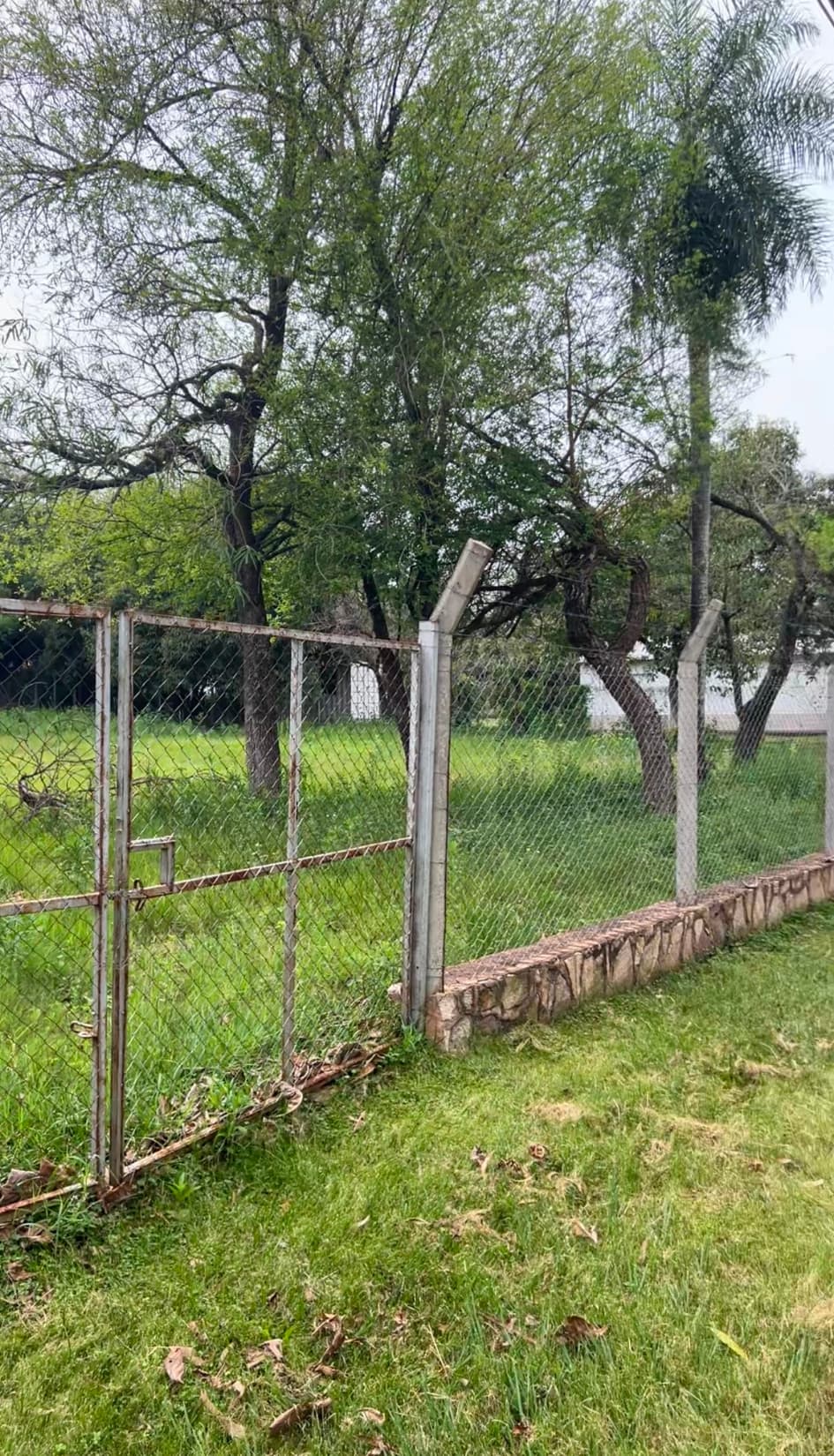 ALQUILO AMPLÍO TERRENO SOBRE AVENIDA PRINCIPAL EN SAN BERNARDINO – 2
