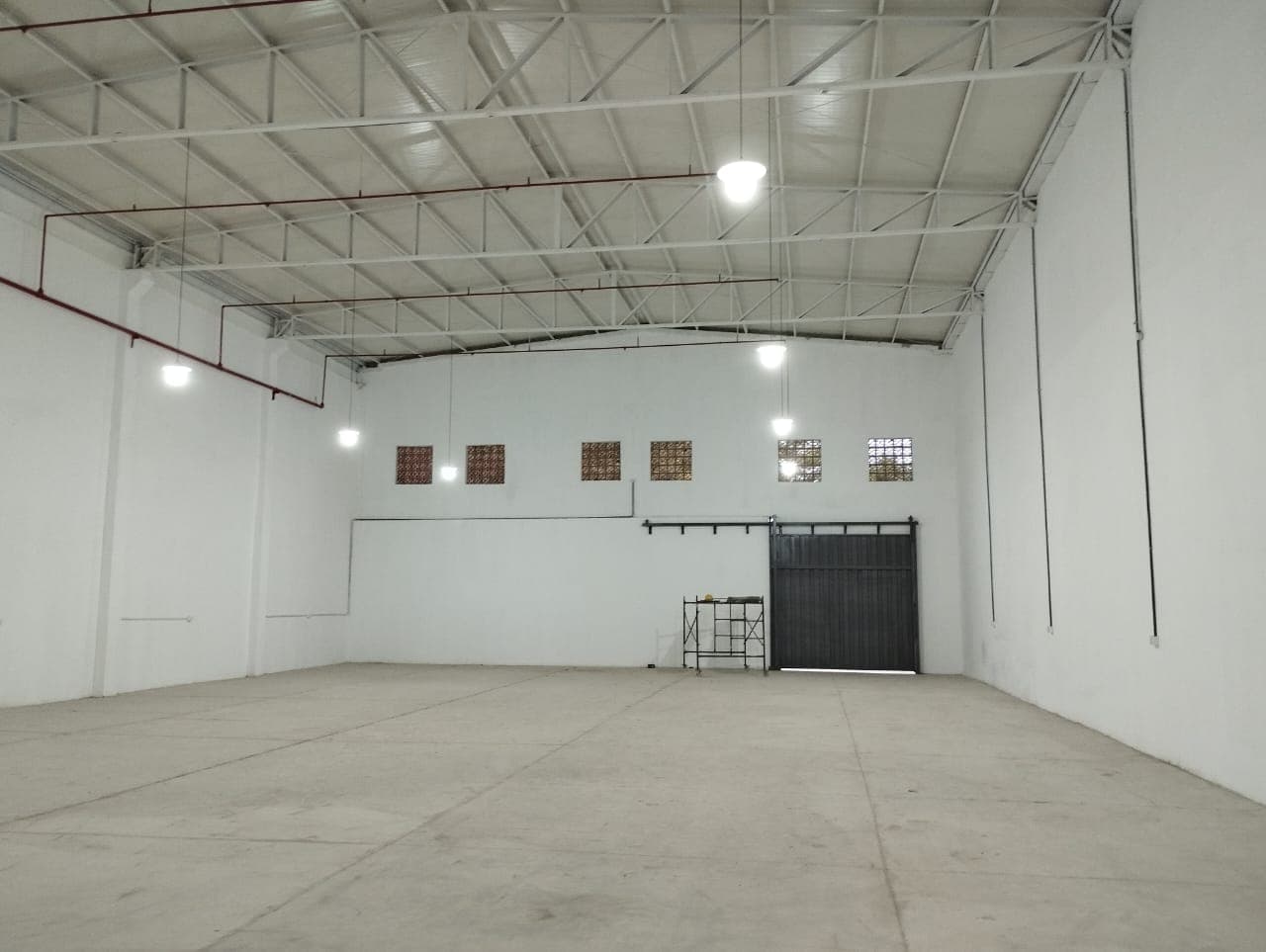 MRA TINGLADO - Alquilo – 3