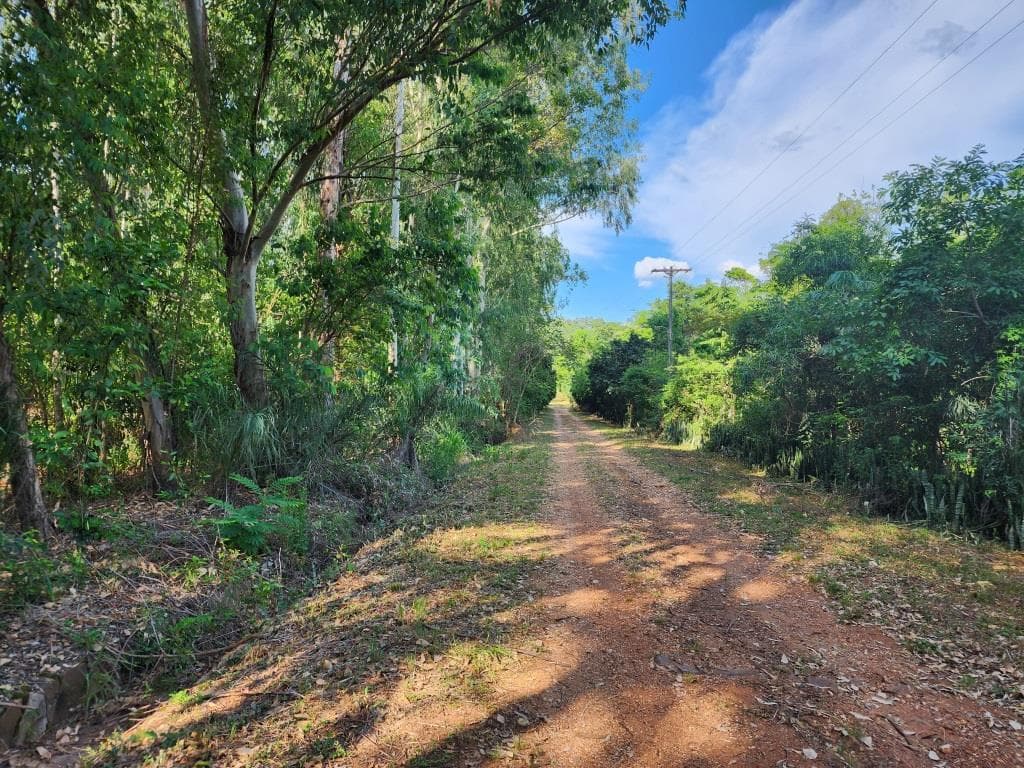 Vendo Terreno de 8 Hectáreas en San Bernardino, con Vistas al Lago - CLLA6844485 – 3