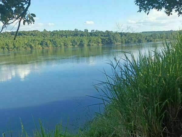 TERRENO EN VENTA – 70 HAS SOBRE EL RÍO PARANÁ DISTRITO CAPITÁN MEZA – ITAPÚA