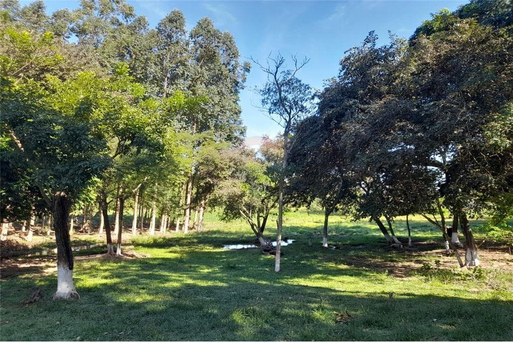 En Venta Amplia Propiedad De 8 Has Con Arroyo. Yataity Del Norte. CAIO – 2