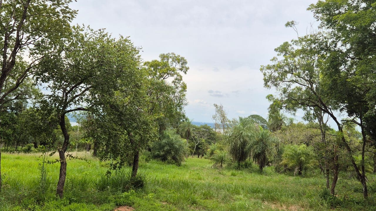 TERRENO EN VENTA- SAN BERNARDINO – 2