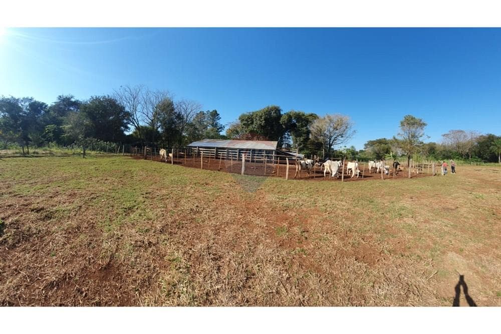 Terreno - Venta - Hernandarias, Alto Paraná, Paraguay – 3