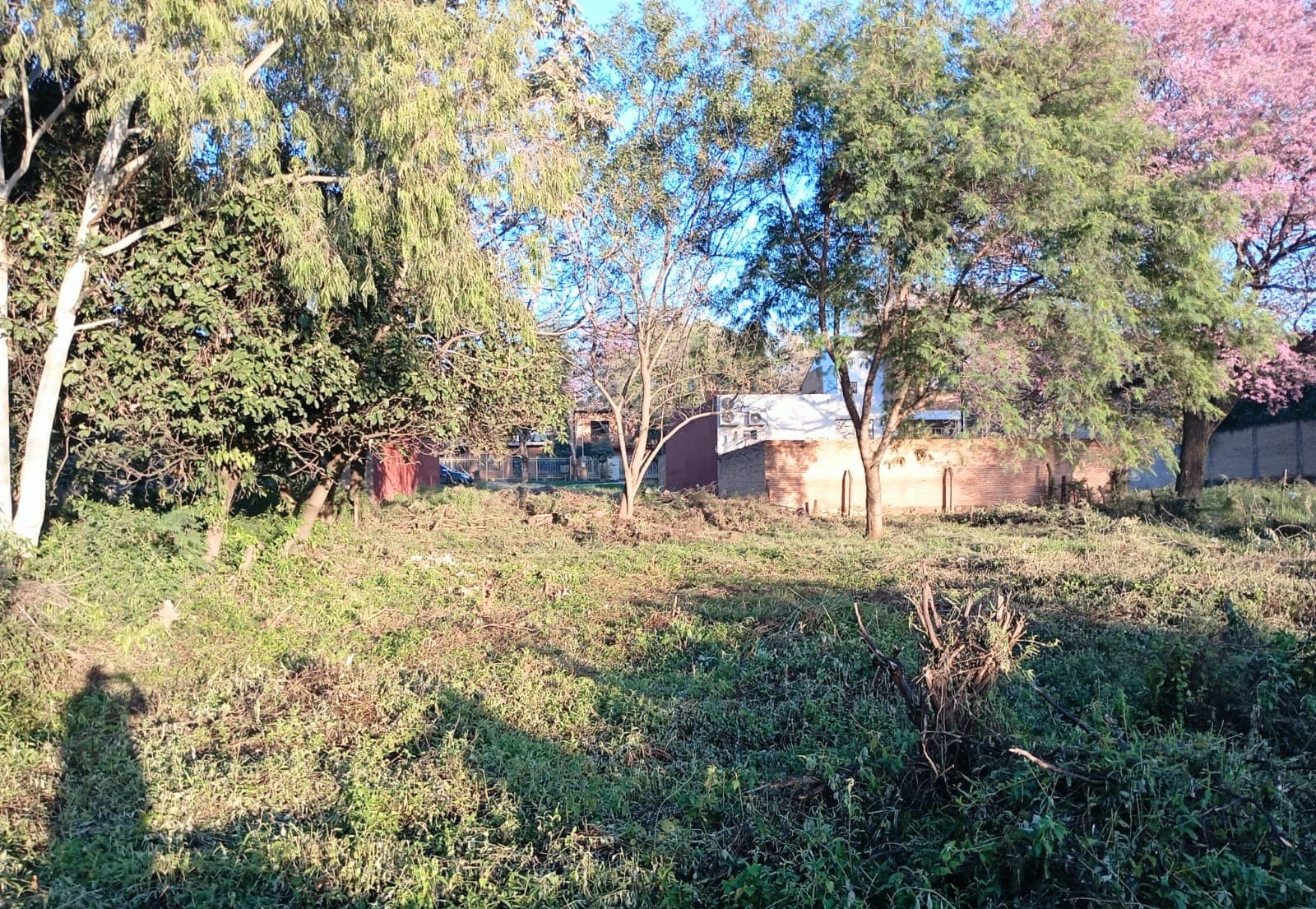 Terreno en Luque de 720 m2 Hugua de Seda sobre Campo Vía – 3