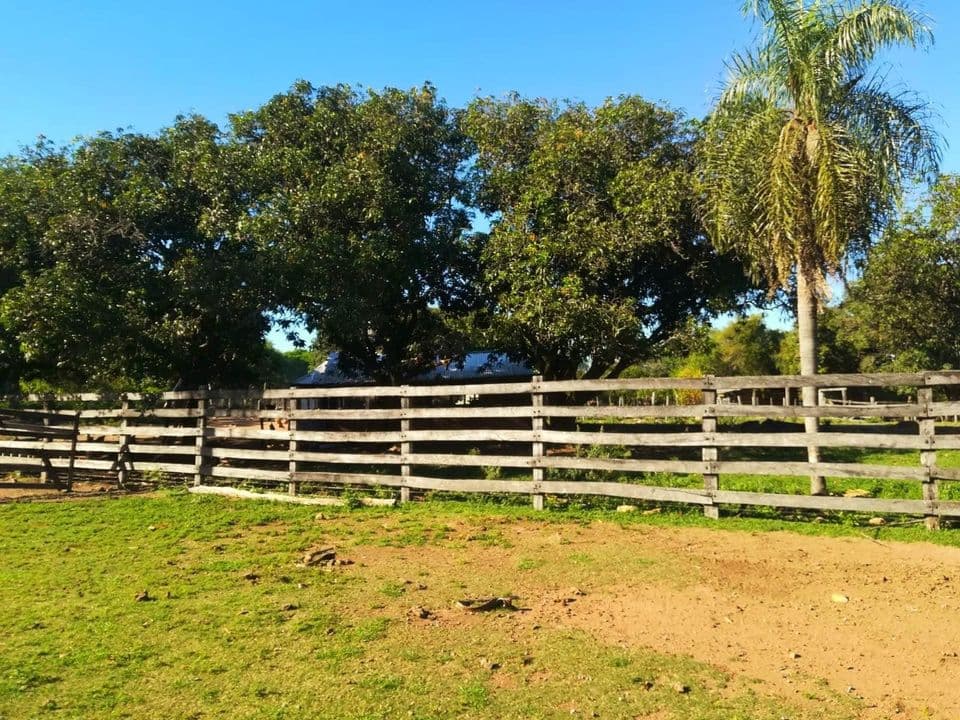 Oferta Vendo Estancia Formada En Caapucu A Tranquera Cerrada Con 150 Cabezas – 3