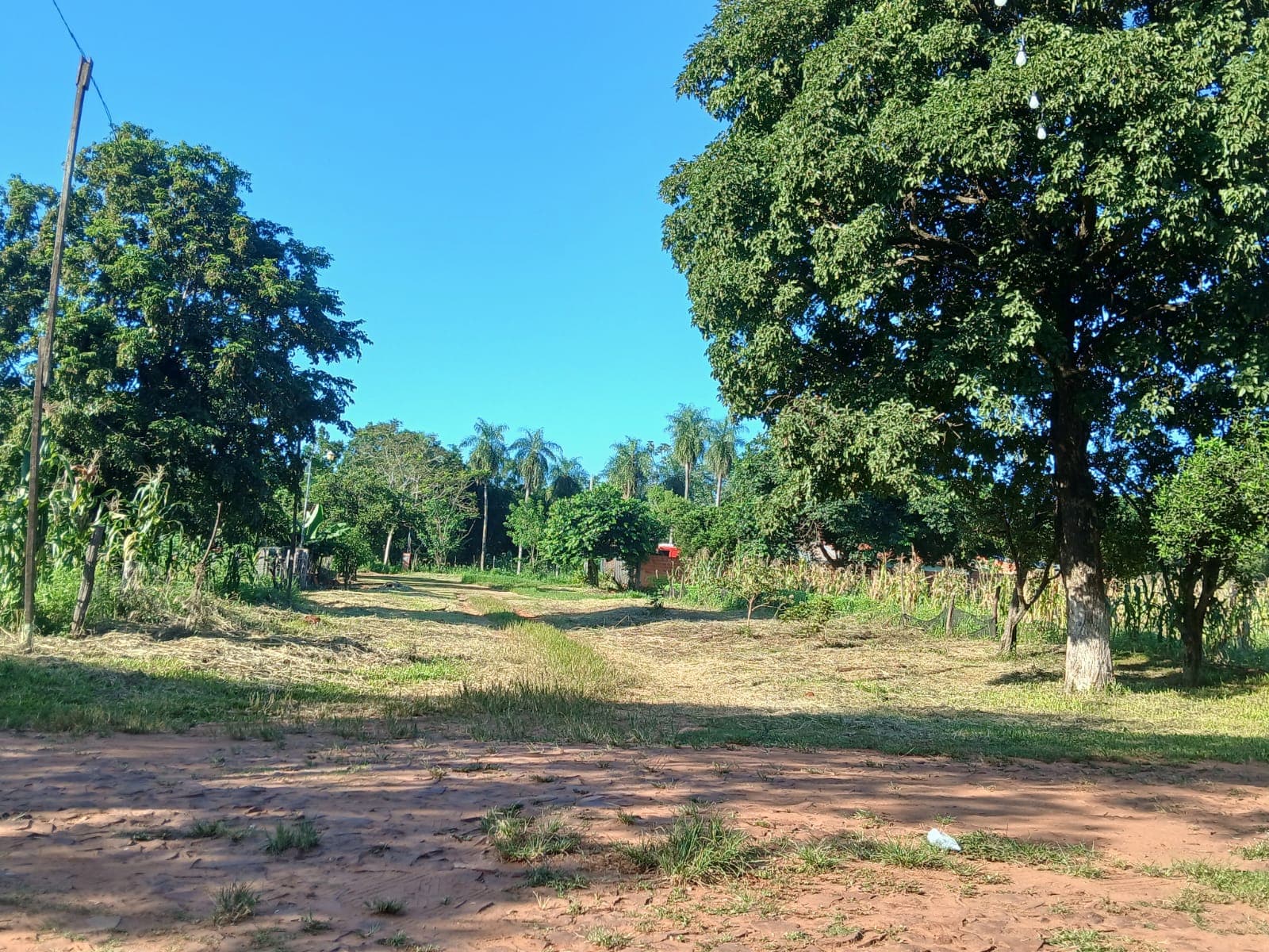 Terreno en Julián Augusto Saldívar, Paraguay – 3