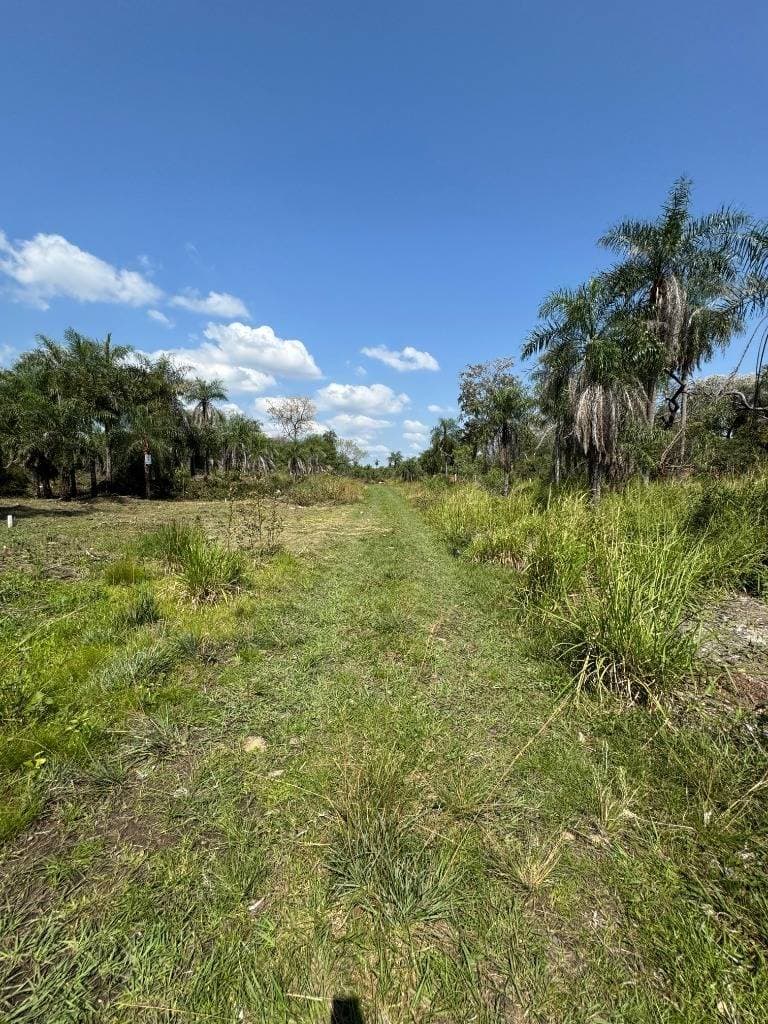 Vendo terreno en San Bernardino zona Ciervo Cua – 2