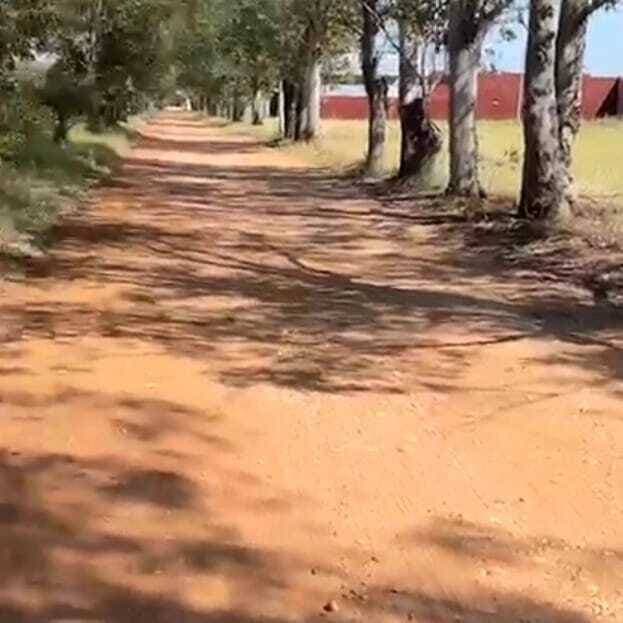 San Ber El Cortijo se vende amplio terreno – 2