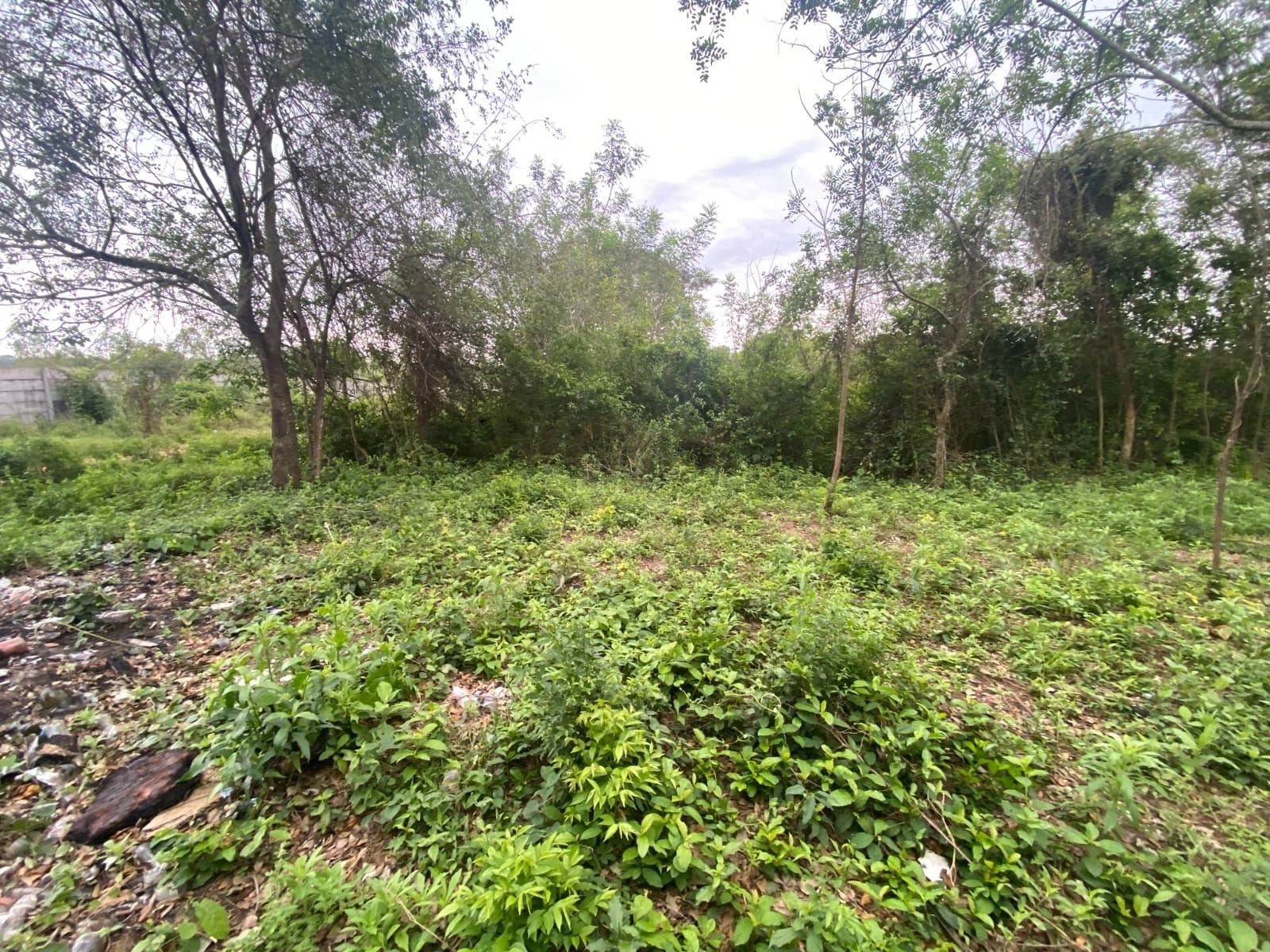 Vendo Terreno en luque