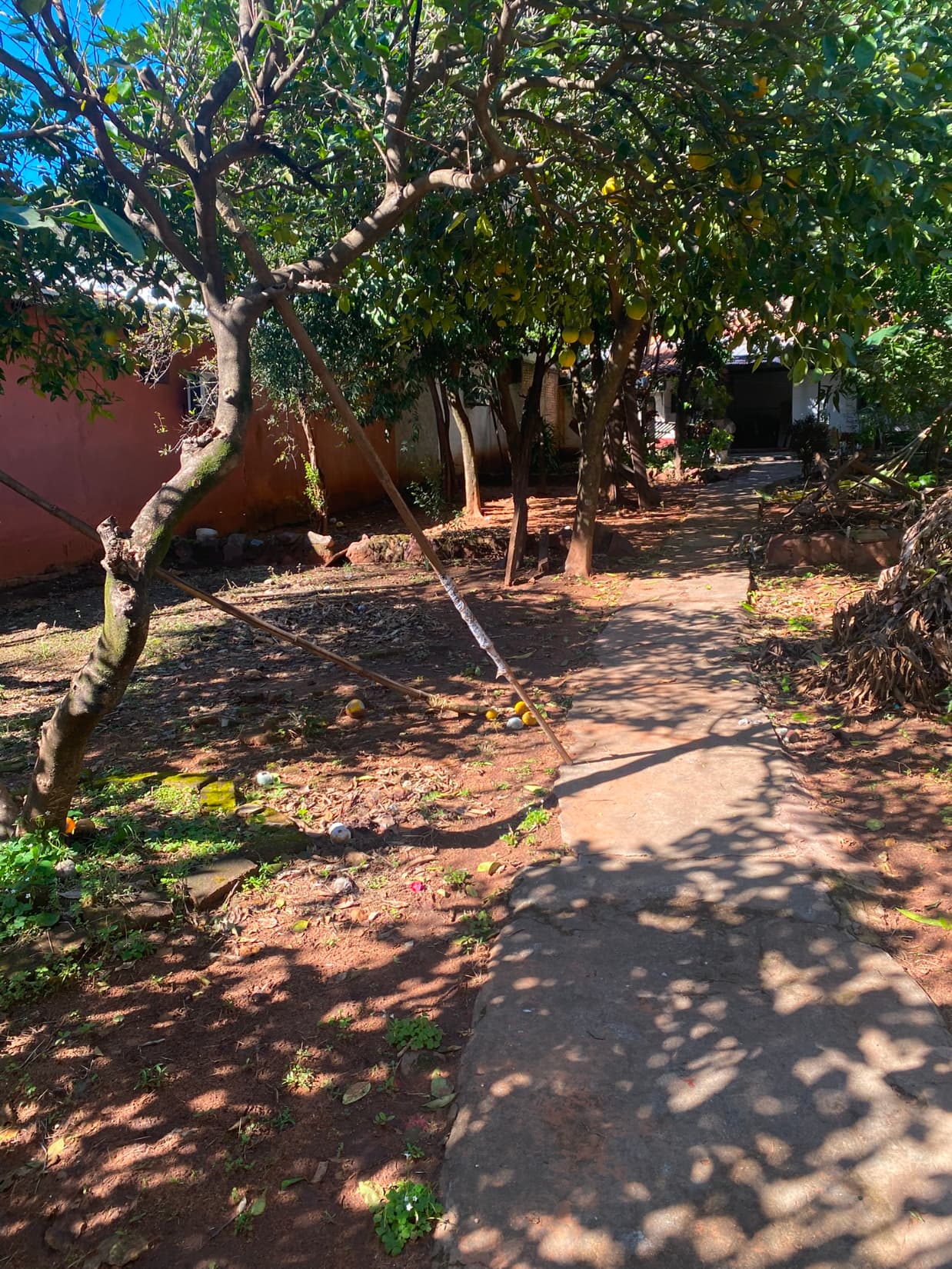 Asunción: amplio terreno arbolado de 15,27 m. x 37,50m. – 3