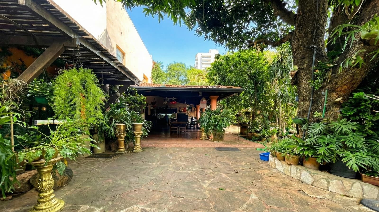 Vendo terreno en Ykua Sati Asunción 13.50 x 39 – 3