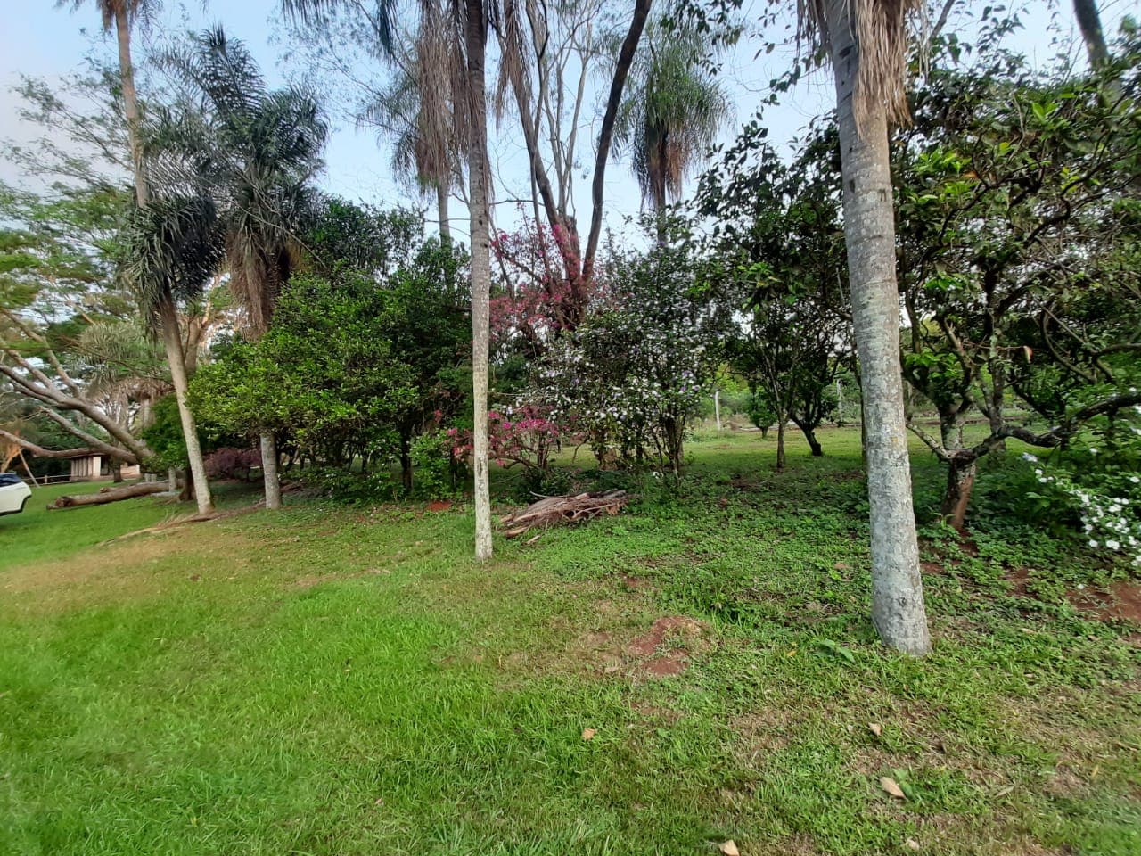 Disponible En Venta 8 Hectáreas En Caacupé Con Arroyo Y Piscina. – 2