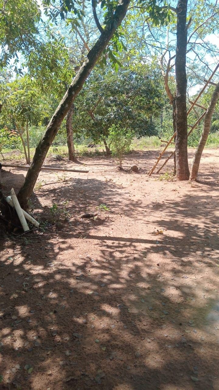 Amplio Terreno Ideal Para Casa Quinta En Nueva Colombia