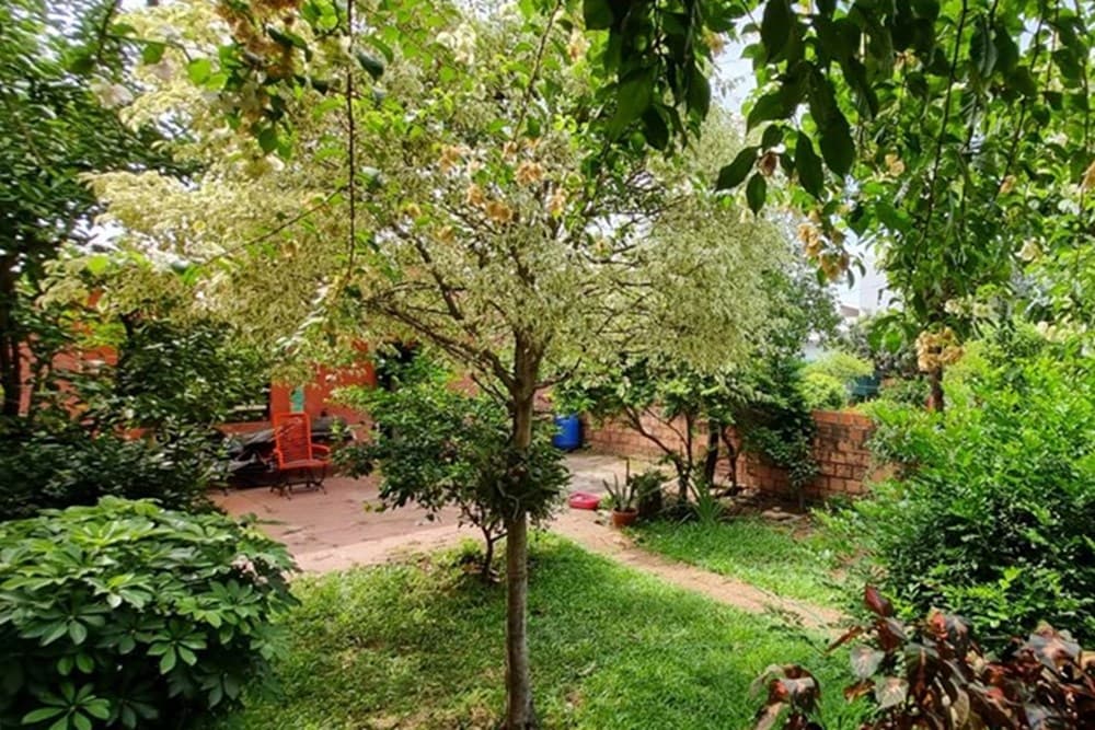 Propiedad de 172 m2 en Las Mercedes – 3