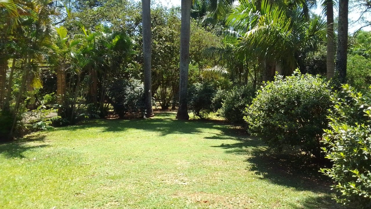 En Venta 55 Hectareas En Cordillera Con Arroyo – 2