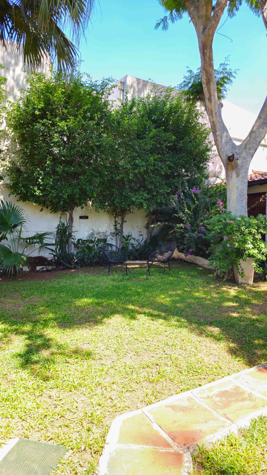 Vendo Edificio De 2 Plantas Por Mudanza - Terreno 1146m2 Negociable – 3