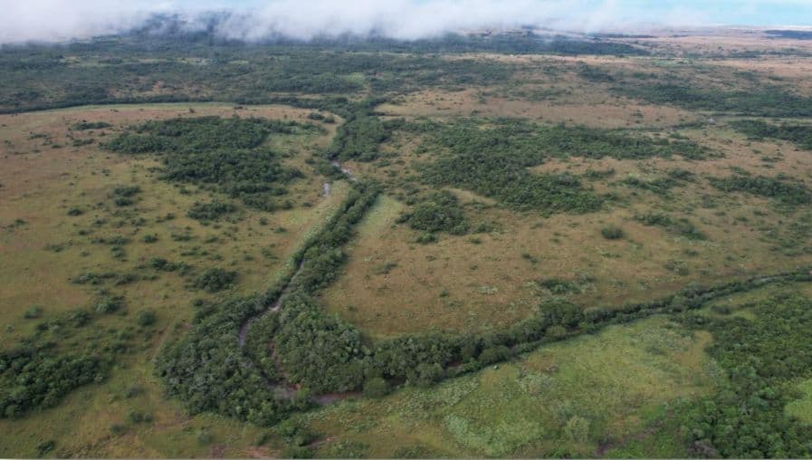VENTA DE ESTANCIA EN CAAPUCU