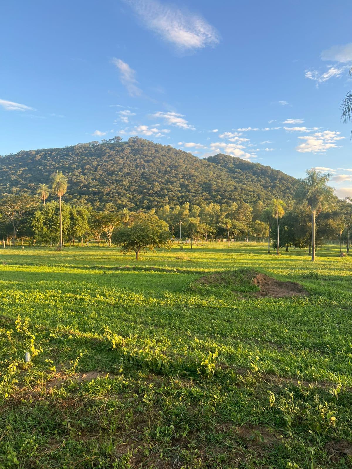 VENDO TERRENOS EN PARAGUARI CON VISTA AL CERRO HU – 3