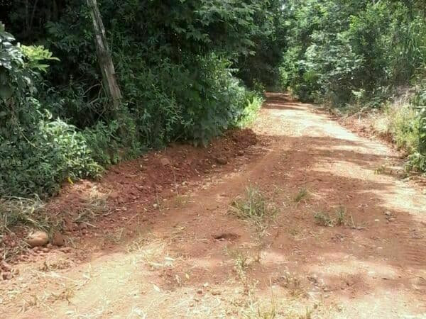 TERRENO EN VENTA – 70 HAS SOBRE EL RÍO PARANÁ DISTRITO CAPITÁN MEZA – ITAPÚA – 2