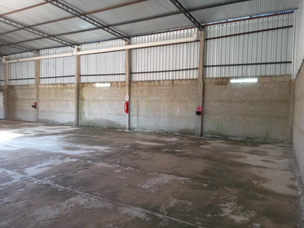 ALQUILER DE TINGLADO EN ZONA ESTRATÉGICA A ESTRENAR - SAN LORENZO - ZONA CALLE’I – 3