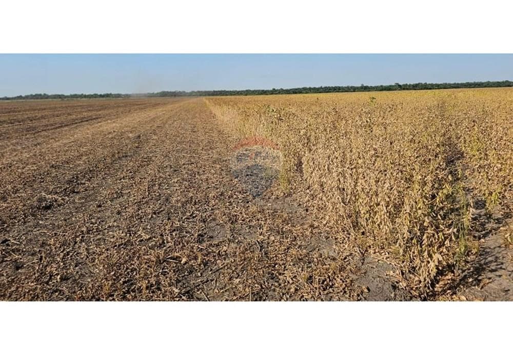VENDO 600 HECTAREAS EN SAN PEDRO DEL PARANA – 2