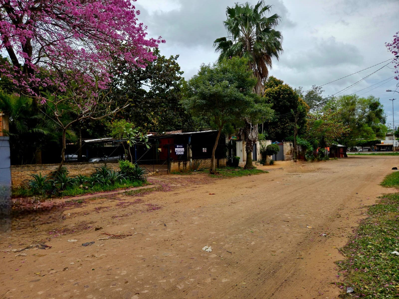 Vendo Propiedad en Mariano Roque Alonso a 1/2 cuadra de la ruta – 3
