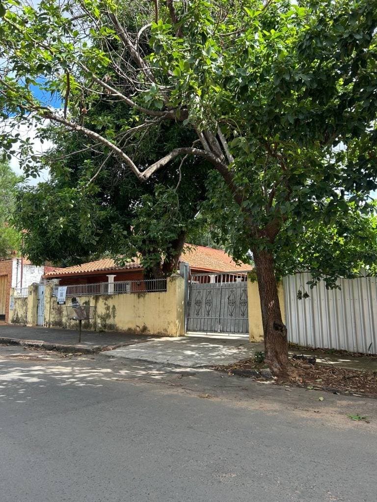 ‼️VENDO TERRENO EN YCUA SATI,EMETERIO MIRANDO – 3