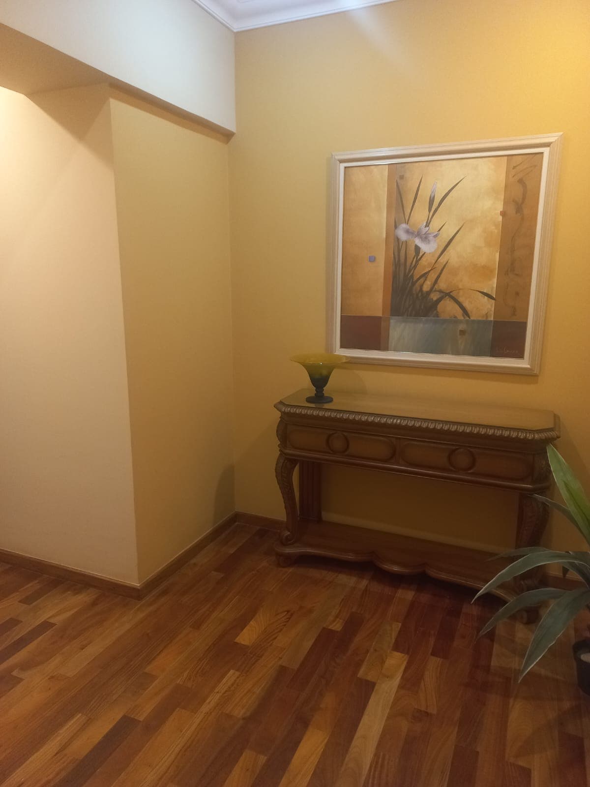 DEPARTAMENTO ZONA SHOPPING DEL SOL - WTC – 2