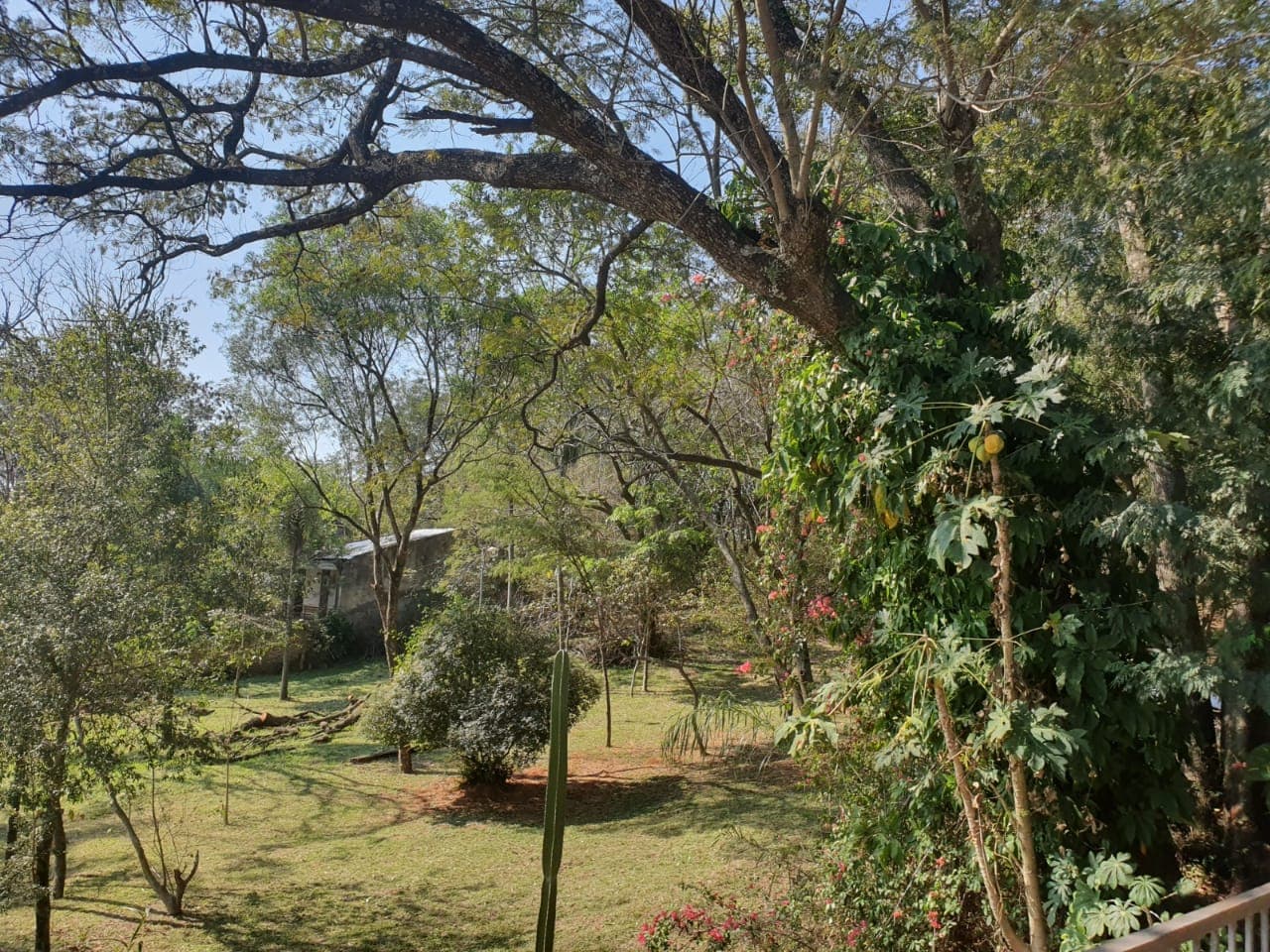 Exclusiva Casa Quinta en Venta en Caacupé - Kurusu Peregrino: ¡Oportunidad Única a Nuevo Precio! – 3