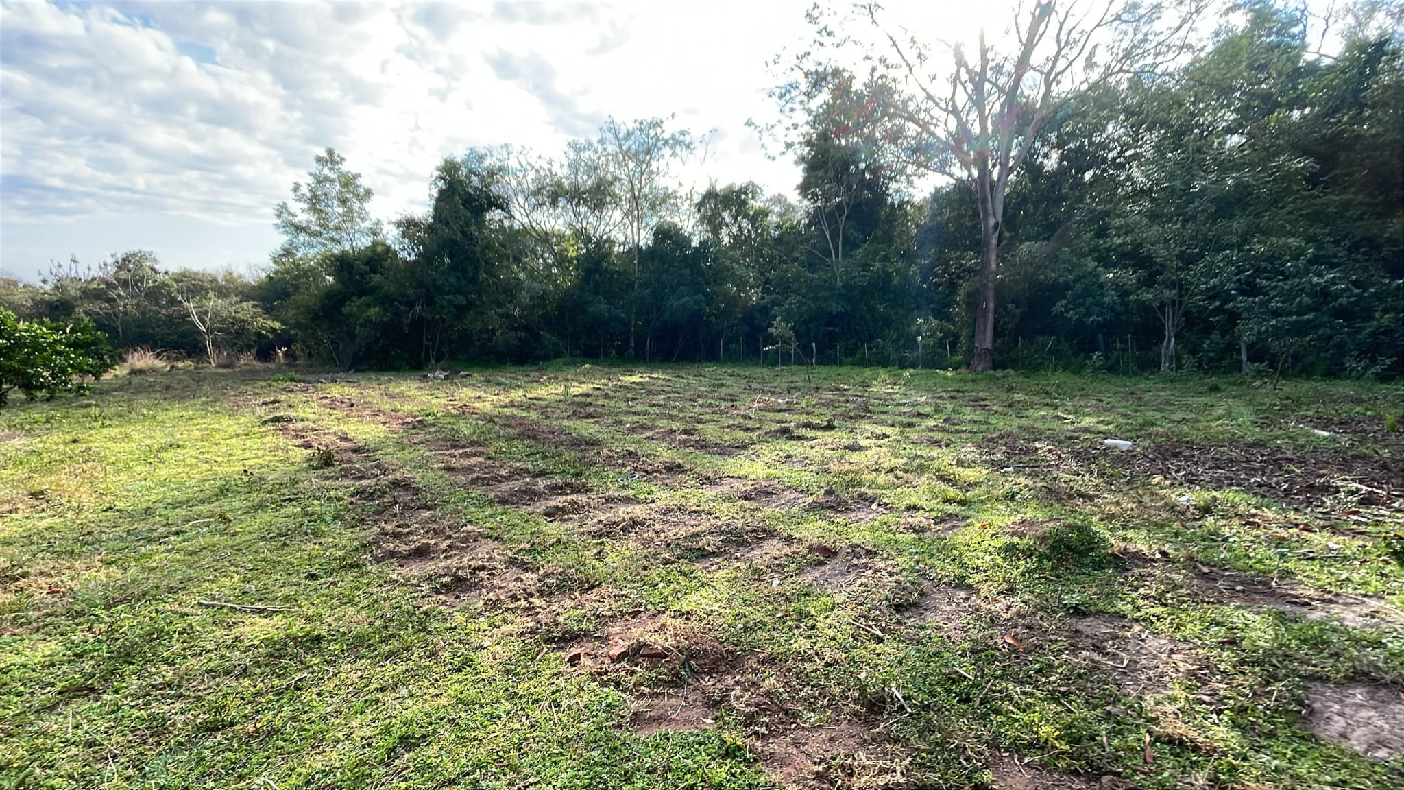2 hectáreas con arroyito y vistas en Eusebio Ayala A 3 km de Ruta 2