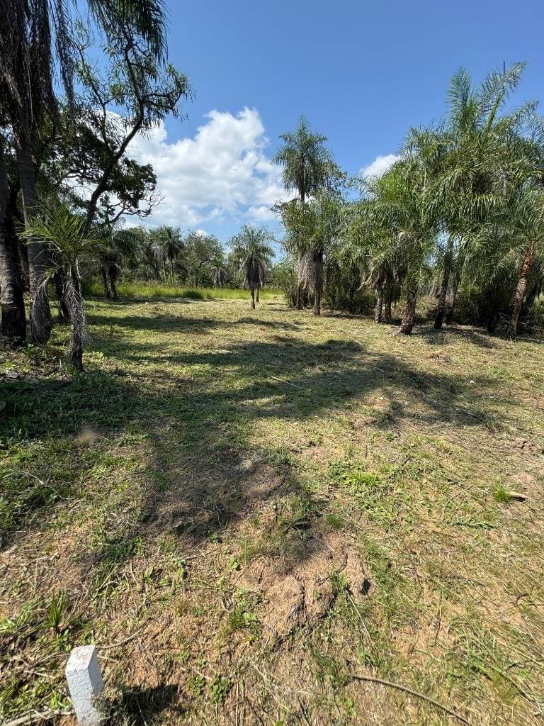 Vendo terreno en San Bernardino zona Ciervo Cua