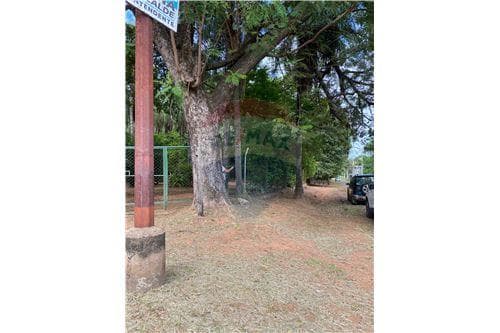 VENDO AMPLIO TERRENO EN VILLA ELISA DE 6.300 M2 – 2